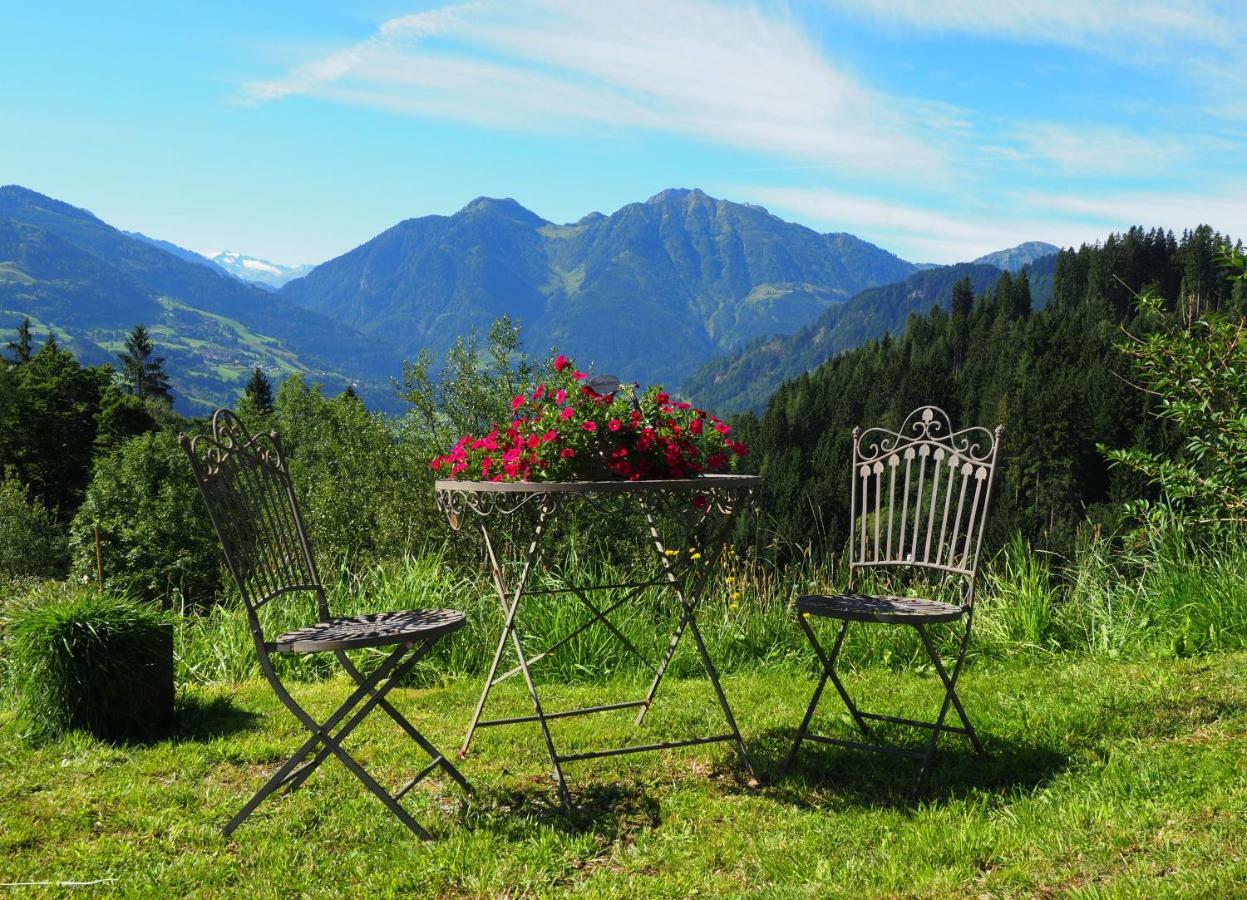 Hinterburgschwaig Hof Διαμέρισμα Sankt Johann im Pongau Εξωτερικό φωτογραφία